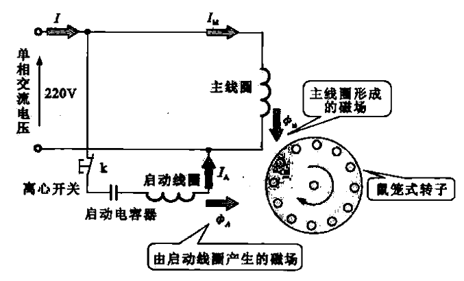 41. Working principle of starting<strong>capacitor</strong> and running single-phase<strong>induction motor</strong>.gif