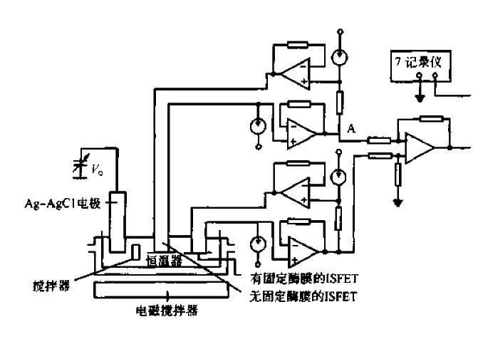 L-Glutamic Acid<strong>FET</strong><strong>Measurement Circuit</strong>.gif